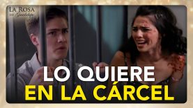 Luis es engamado por su novia
